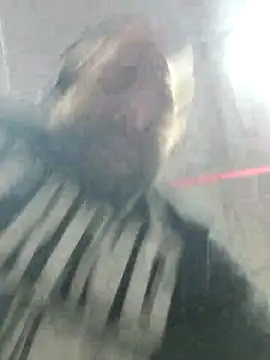 Snapshot of Strong_Bear89 chatting on December 2, 3:04 am Strong Bear89 online show from December 2, 3:04 am