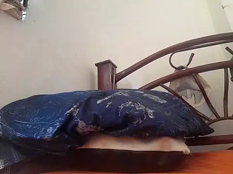  afrodita sex online show from February 10, 7:49 pm