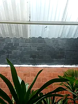 luchoarr online show from November 14, 12:59 pm