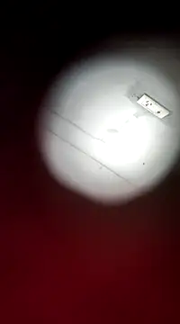 Snapshot of Bangarupapa chatting on February 24, 3:02 am Bangarupapa online show from February 24, 3:02 am