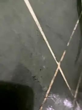 gzn01 online show from October 30, 7:03 pm