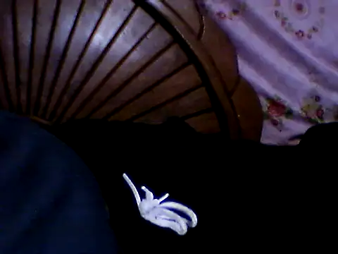 Snapshot of penesillo79 chatting on November 21, 3:05 am penesillo79 online show from November 21, 3:05 am