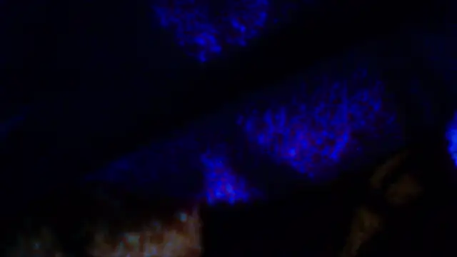 Snapshot of penesillo79 chatting on December 18, 4:29 am penesillo79 online show from December 18, 4:29 am