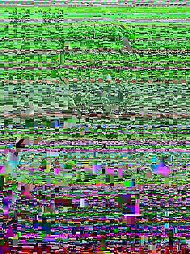 Harii 02 online show from February 8, 7:49 pm