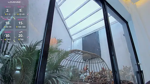 Venusflame   online show from October 18, 12:06 pm