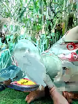 Betty20zx online show from November 12, 2:01 am