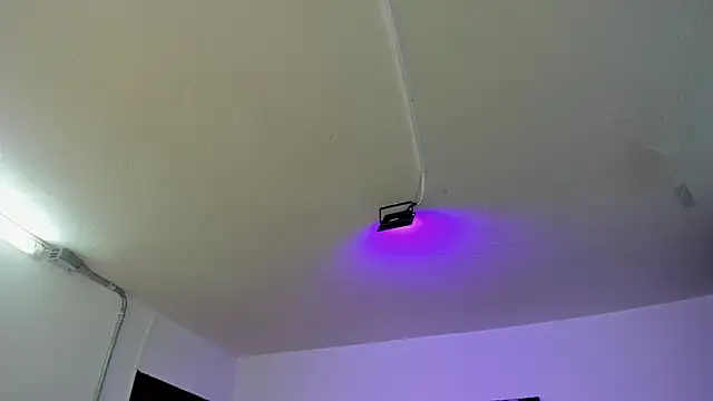 Amy Kiitty  online show from February 28, 1:01 pm