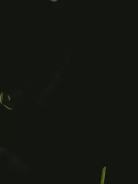 Pressure69mee online show from March 2, 10:59 pm