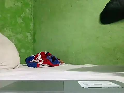 Snapshot of ruygw chatting on December 7, 4:20 am ruygw online show from December 7, 4:20 am