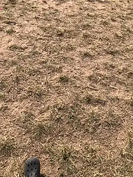 Black mamba madingo online show from December 10, 3:01 pm