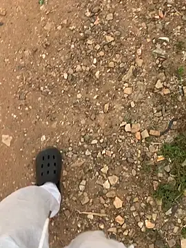 Black mamba madingo online show from December 11, 4:09 pm