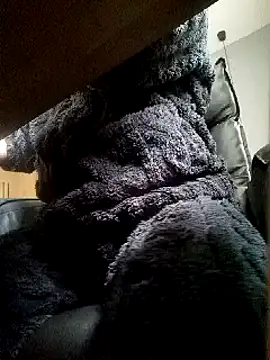 JJBOY-SF online show from March 14, 9:14 am