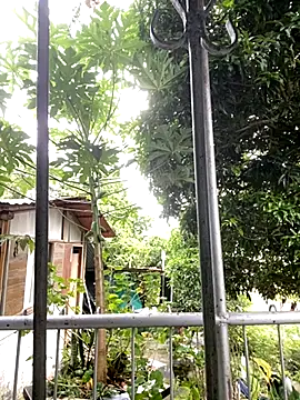 Snapshot of Jestebanano chatting on October 18, 8:20 pm Jestebanano online show from October 18, 8:20 pm