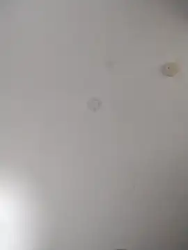 Snapshot of geilerschwanz64 chatting on October 27, 2:15 am geilerschwanz64 online show from October 27, 2:15 am