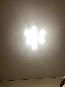 Janet Welder online show from December 16, 7:37 am