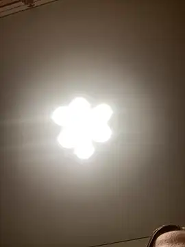 Snapshot of Janet_Welder chatting on August 1, 11:03 pm Janet Welder online show from August 1, 11:03 pm