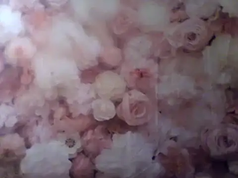 Snapshot of camiliaskye chatting on December 31, 4:49 am camiliaskye online show from December 31, 4:49 am