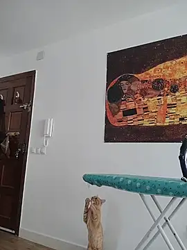 Snapshot of Satiro_Sevilla chatting on November 12, 9:32 am Satiro Sevilla online show from November 12, 9:32 am