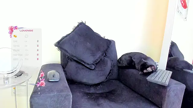 Snapshot of its__angelica_ chatting on November 19, 7:47 pm its angelica online show from November 19, 7:47 pm