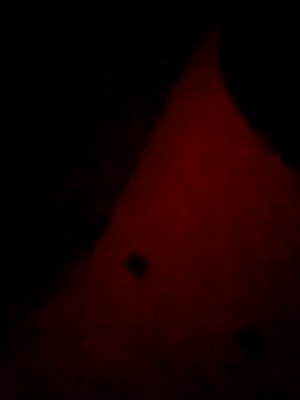 Snapshot of Mieto_ chatting on April 17, 3:20 am Mieto online show from April 17, 3:20 am