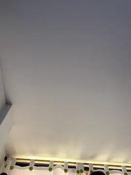 siri duque online show from November 3, 3:35 pm