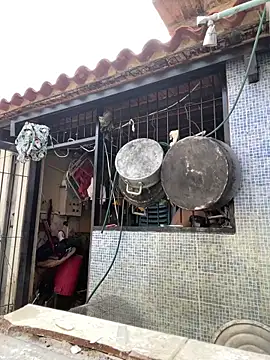 Leo bunny hot online show from March 7, 12:37 am