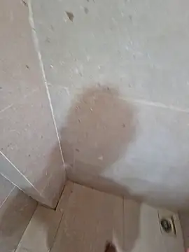 vivanpraj999 online show from November 25, 4:23 am