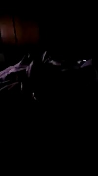 Snapshot of Imthegoattt chatting on December 12, 11:47 pm Imthegoattt online show from December 12, 11:47 pm