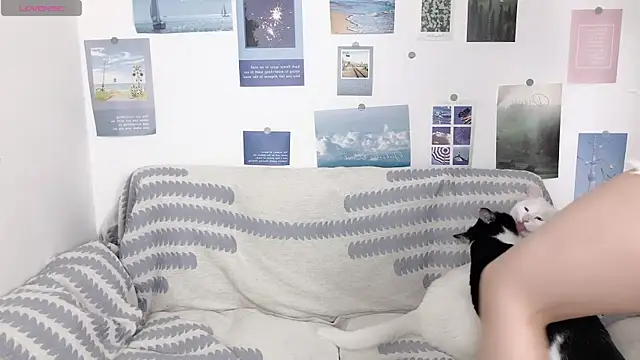 LiLiYbaby online show from March 3, 5:42 am