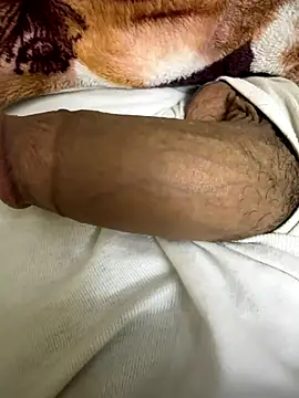 hamed-697 online show from December 3, 7:00 pm