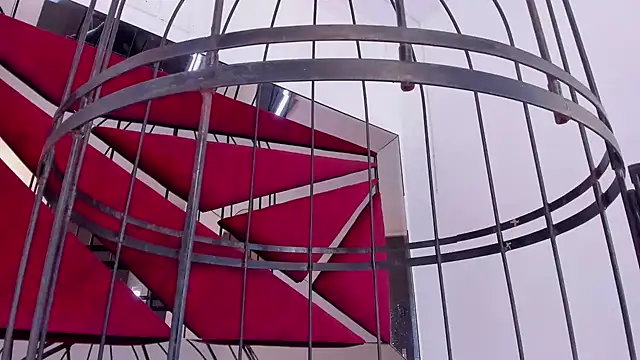 GiaFu online show from January 25, 9:14 pm