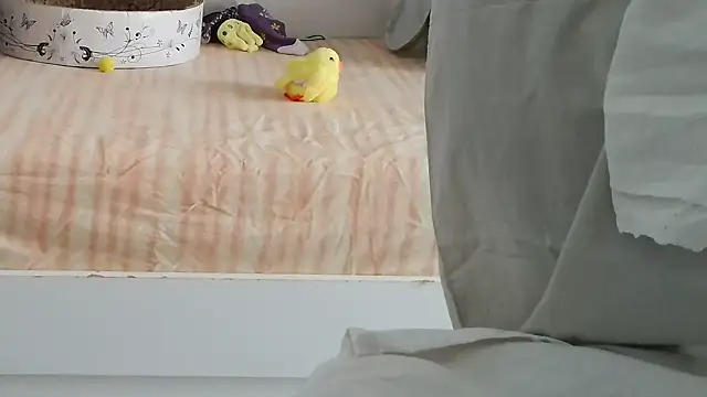 VeneRed online show from September 9, 8:47 am