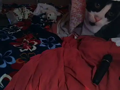 VeneRed online show from March 8, 6:55 pm