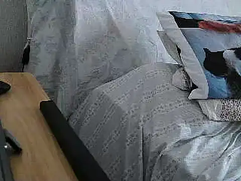 Snapshot of VeneRed chatting on July 1, 1:24 pm VeneRed online show from July 1, 1:24 pm