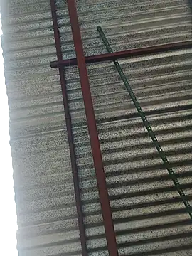 elputoflaco online show from January 9, 11:46 am