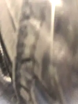 Snapshot of Diamond_Bunny_ chatting on September 24, 3:04 pm Diamond Bunny online show from September 24, 3:04 pm