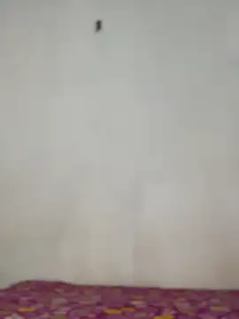 Snapshot of Nicole_cute1 chatting on November 30, 7:29 pm Nicole cute1 online show from November 30, 7:29 pm