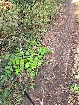 nataliecdlive online show from March 14, 2:11 pm