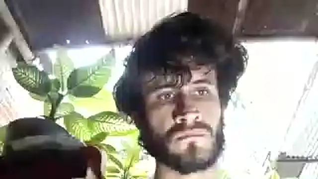 Loggan donnelly online show from October 24, 8:05 pm