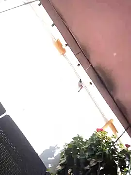 Snapshot of Praga_Pink chatting on December 11, 5:59 pm Praga Pink online show from December 11, 5:59 pm