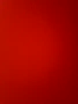 pauviciantegg online show from April 17, 5:16 pm