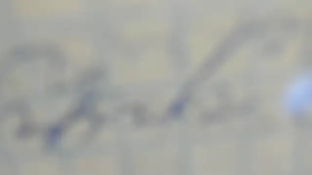 elis gabbi online show from September 9, 12:59 pm