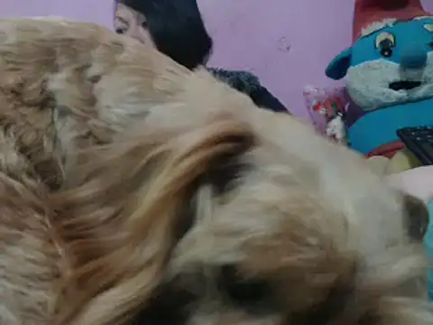 Cheliafun online show from October 25, 2:13 pm