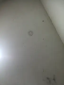 Snapshot of jeremiabello chatting on March 17, 10:49 am jeremiabello online show from March 17, 10:49 am