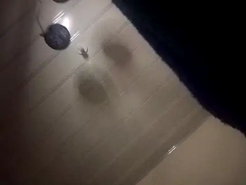 giuliana andrade online show from December 7, 3:36 am