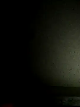 Leocesar37 online show from November 19, 4:29 pm