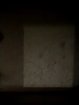 Snapshot of Leocesar37 chatting on May 13, 10:06 pm Leocesar37 online show from May 13, 10:06 pm