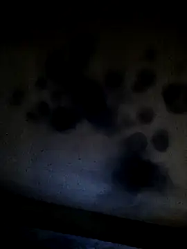 Snapshot of Leocesar37 chatting on May 25, 12:16 am Leocesar37 online show from May 25, 12:16 am