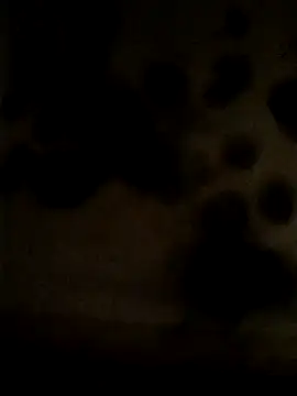 Snapshot of Leocesar37 chatting on May 25, 2:23 pm Leocesar37 online show from May 25, 2:23 pm