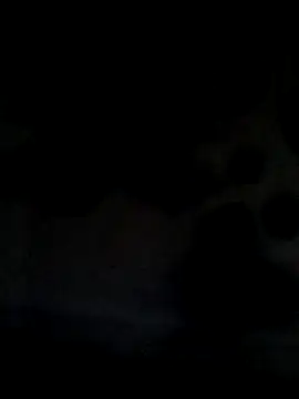 Snapshot of Leocesar37 chatting on June 21, 5:43 am Leocesar37 online show from June 21, 5:43 am